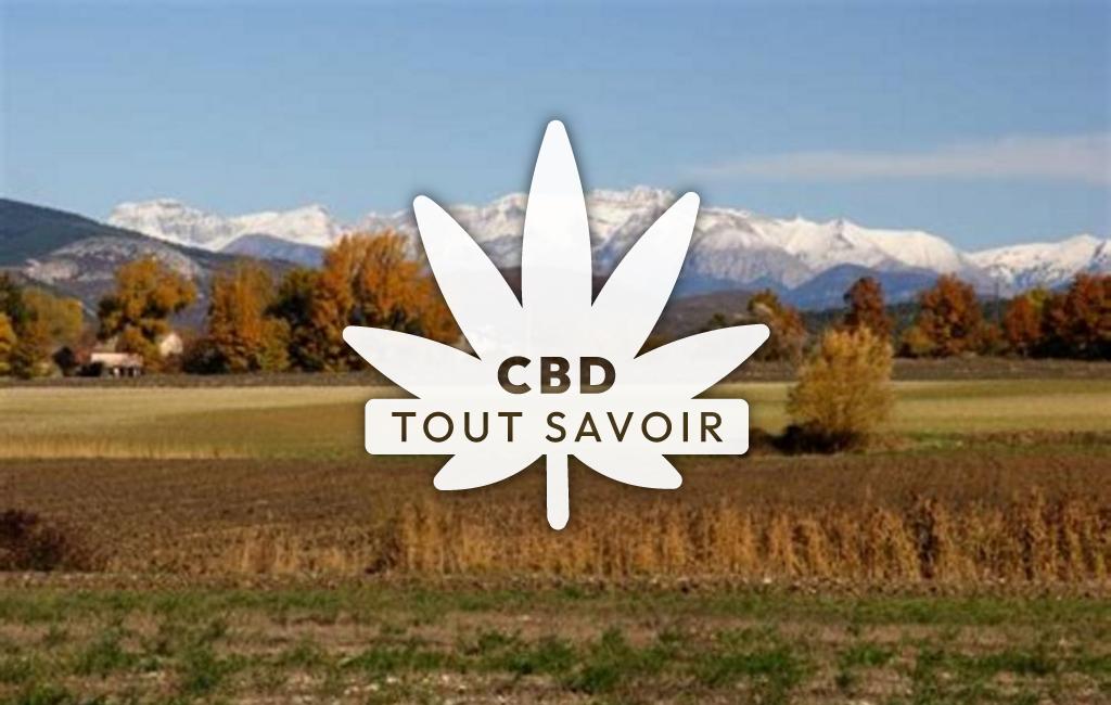 Village à Le-Chaffaut-Saint-Jurson avec feuille Cannabis CBD