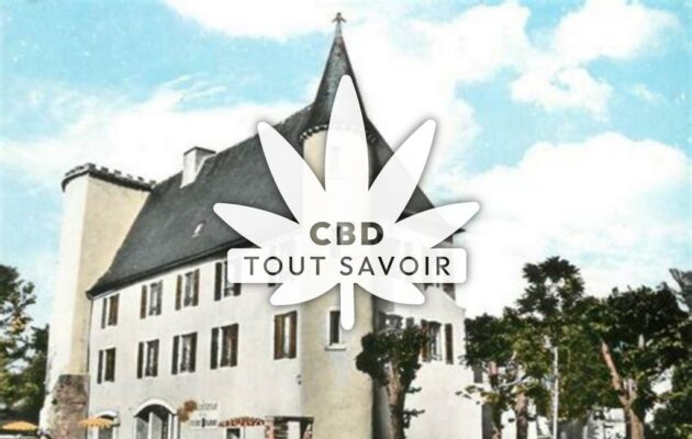 Village à Le-Mayet-D'Ecole avec feuille Cannabis CBD