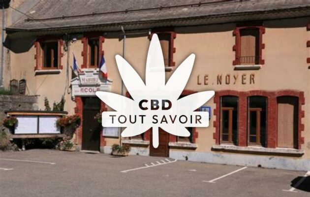 Village à Le-Noyer avec feuille Cannabis CBD