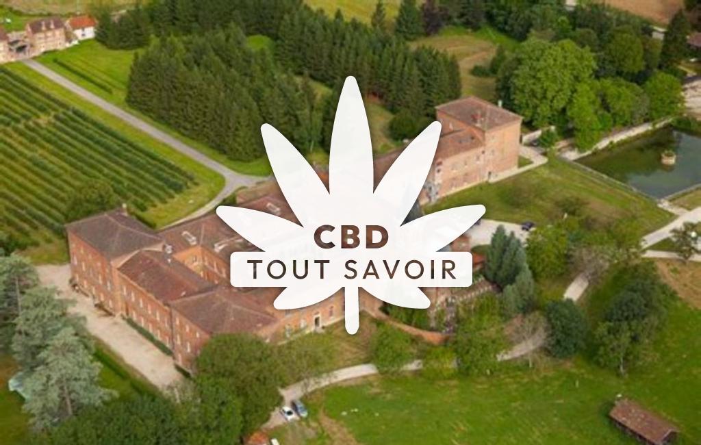 Village à Le-Plantay avec feuille Cannabis CBD