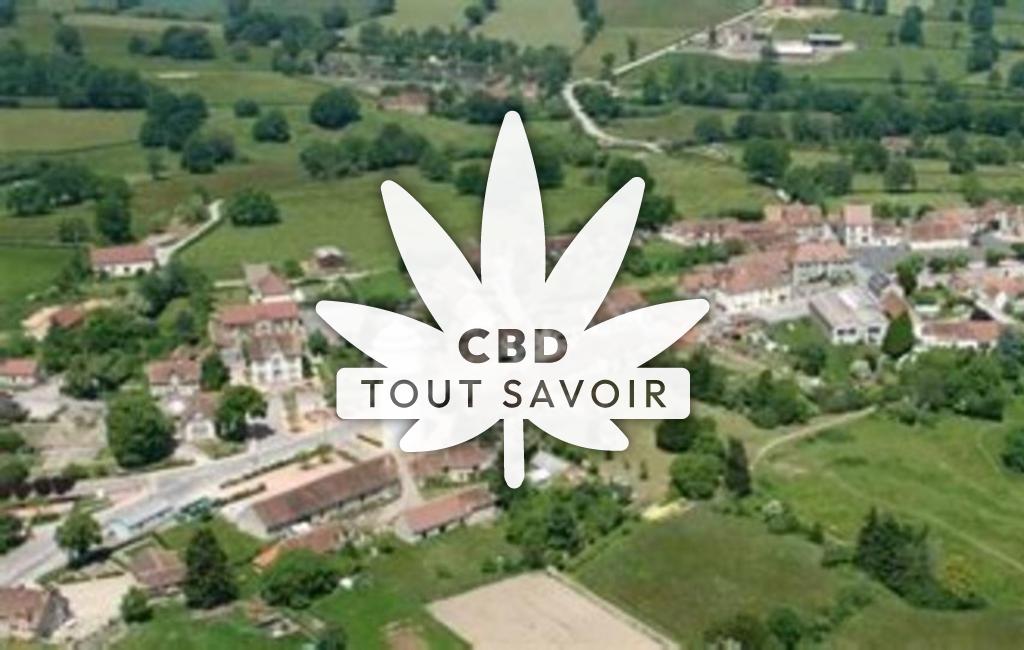 Village à Le-Theil avec feuille Cannabis CBD