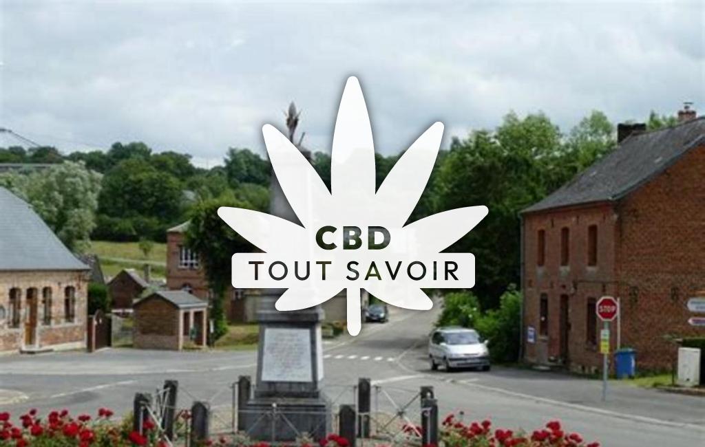 Village à Lerzy avec feuille Cannabis CBD