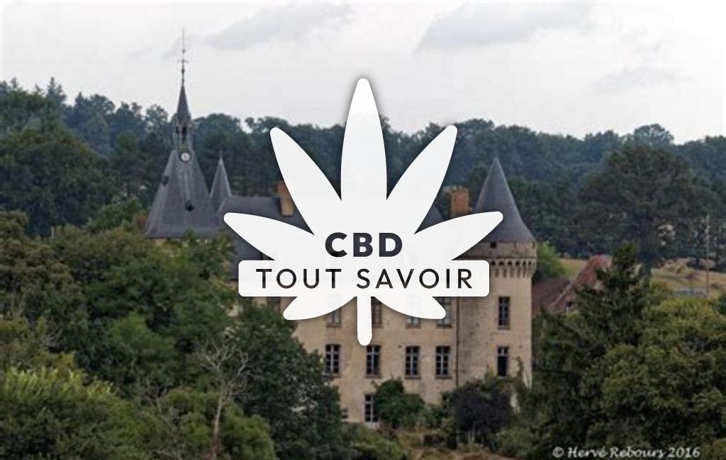 Village à Louroux-Bourbonnais avec feuille Cannabis CBD