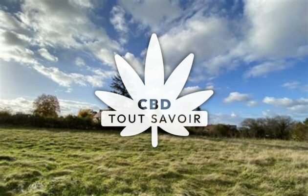 Village à Louroux-de-Beaune avec feuille Cannabis CBD