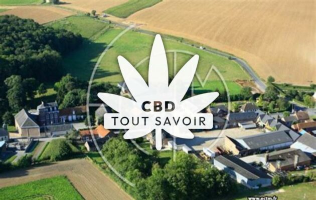 Village à Magny-la-Fosse avec feuille Cannabis CBD