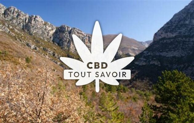 Village à Majastres avec feuille Cannabis CBD