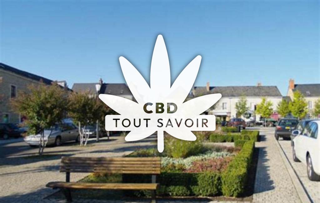 Village à Malicorne avec feuille Cannabis CBD