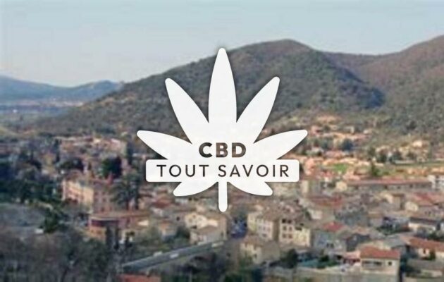 Village à Malijai avec feuille Cannabis CBD