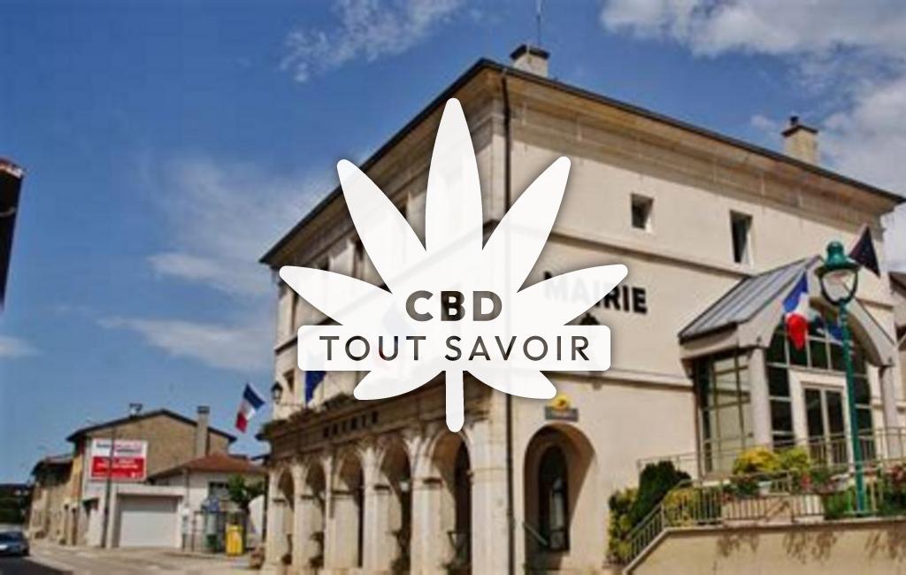 Village à Martignat avec feuille Cannabis CBD