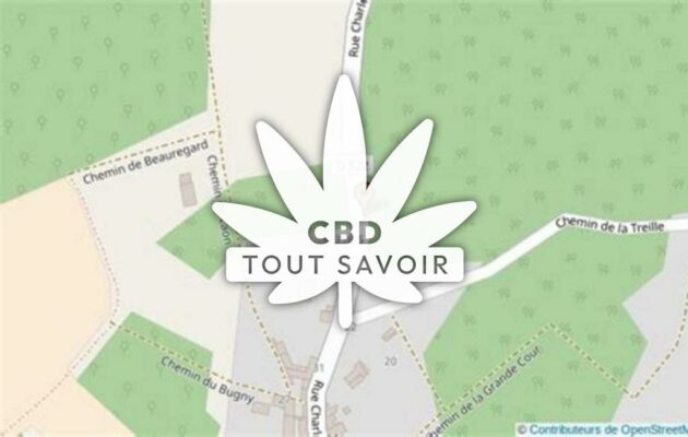 Village à Mauregny-en-Haye avec feuille Cannabis CBD