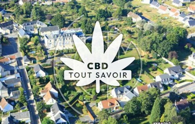 Village à Mercin-Et-Vaux avec feuille Cannabis CBD