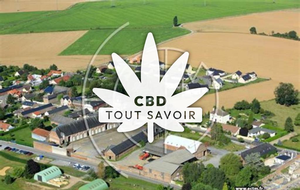 Village à Mesnil-Saint-Laurent avec feuille Cannabis CBD