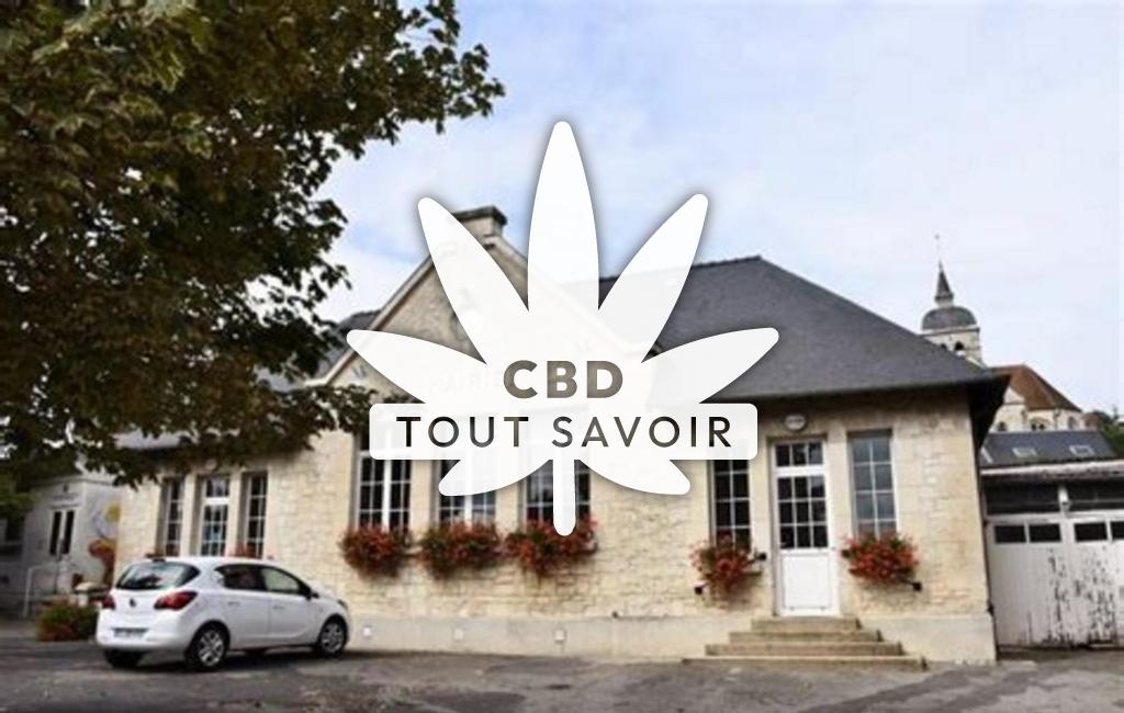 Village à Missy-sur-Aisne avec feuille Cannabis CBD