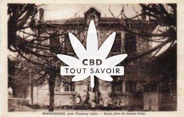 Village à Mogneneins avec feuille Cannabis CBD