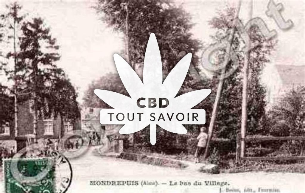 Village à Mondrepuis avec feuille Cannabis CBD