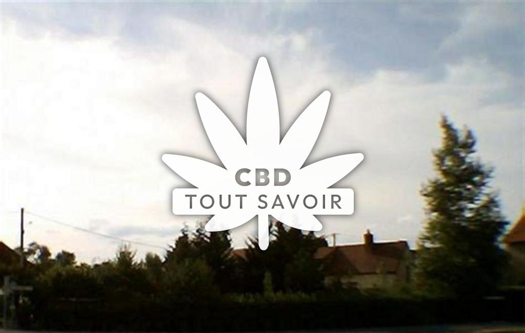 Village à Monetay-sur-Allier avec feuille Cannabis CBD