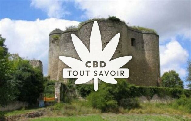 Village à Montaigu-le-Blin avec feuille Cannabis CBD