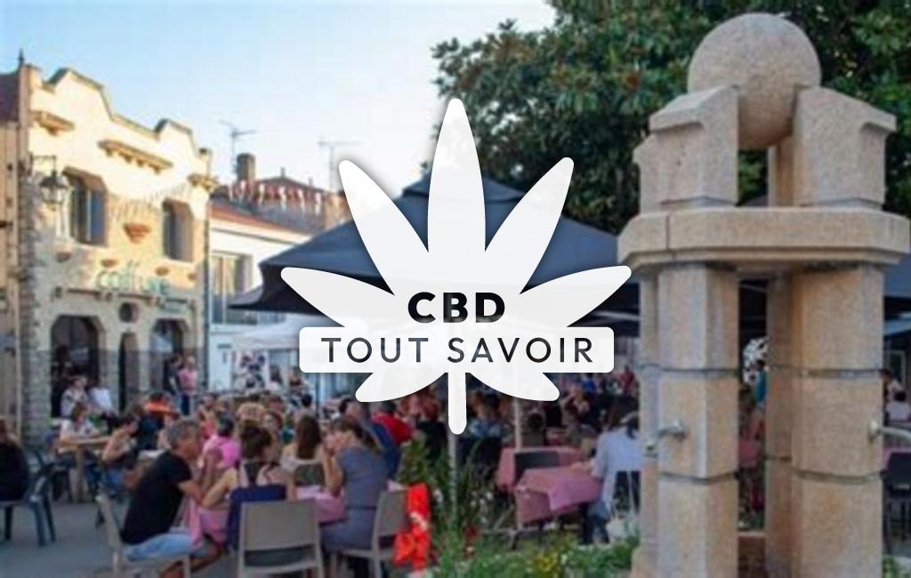 Village à Montaigu avec feuille Cannabis CBD