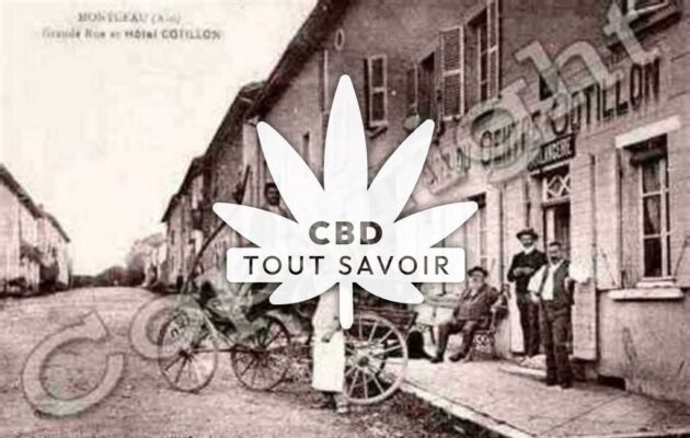 Village à Montceaux avec feuille Cannabis CBD