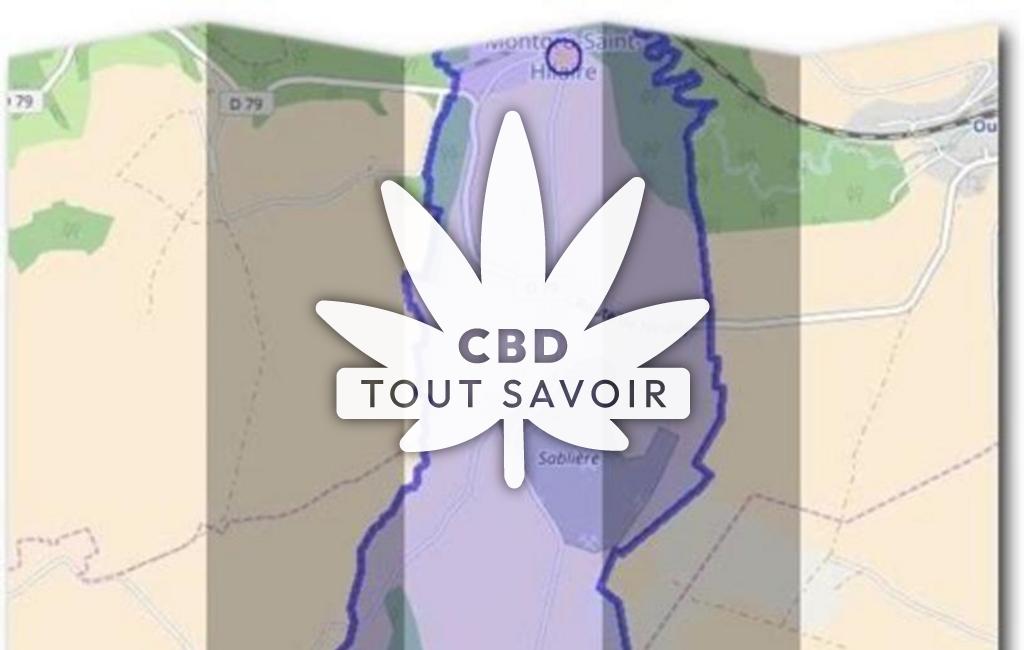 Village à Montgru-Saint-Hilaire avec feuille Cannabis CBD