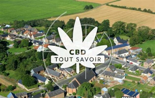 Village à Montigny-en-Arrouaise avec feuille Cannabis CBD