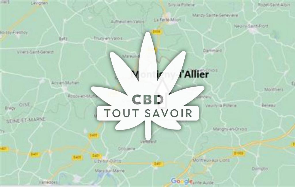 Village à Montigny-l'Allier avec feuille Cannabis CBD