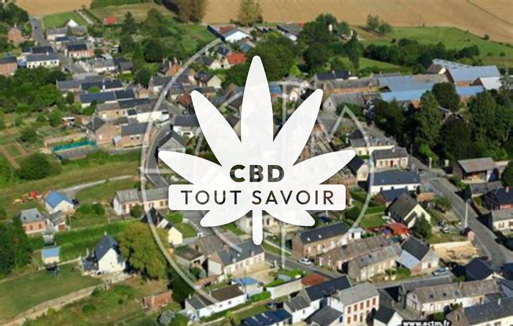 Village à Montigny-sur-Crecy avec feuille Cannabis CBD