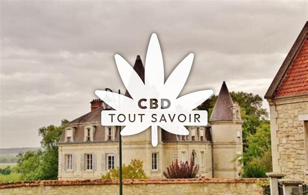 Village à Moussy-Verneuil avec feuille Cannabis CBD