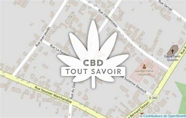 Village à Moy-de-l'Aisne avec feuille Cannabis CBD