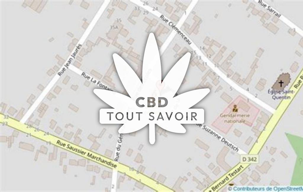 Village à Moy-de-l'Aisne avec feuille Cannabis CBD