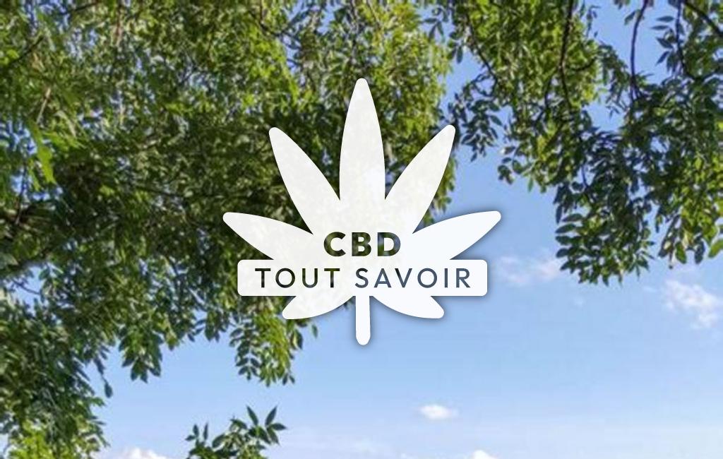 Village à Murat avec feuille Cannabis CBD