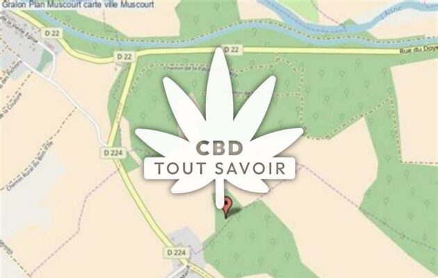 Village à Muscourt avec feuille Cannabis CBD