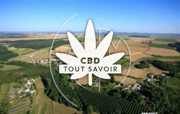 Village à Nampteuil-sous-Muret avec feuille Cannabis CBD