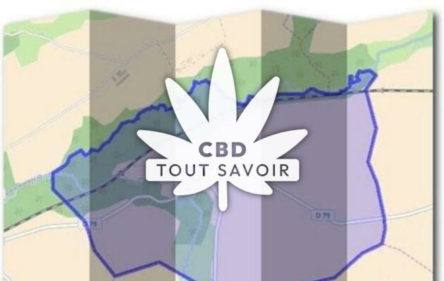 Village à Nanteuil-Notre-Dame avec feuille Cannabis CBD