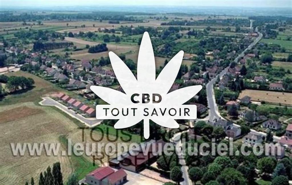 Village à Neuilly-le-Real avec feuille Cannabis CBD