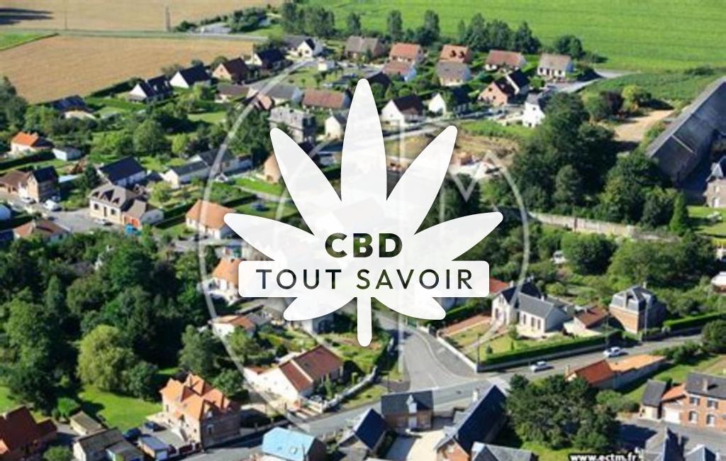 Village à Neuville-Saint-Amand avec feuille Cannabis CBD