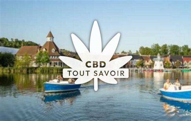 Village à Neuville-sur-Ailette avec feuille Cannabis CBD