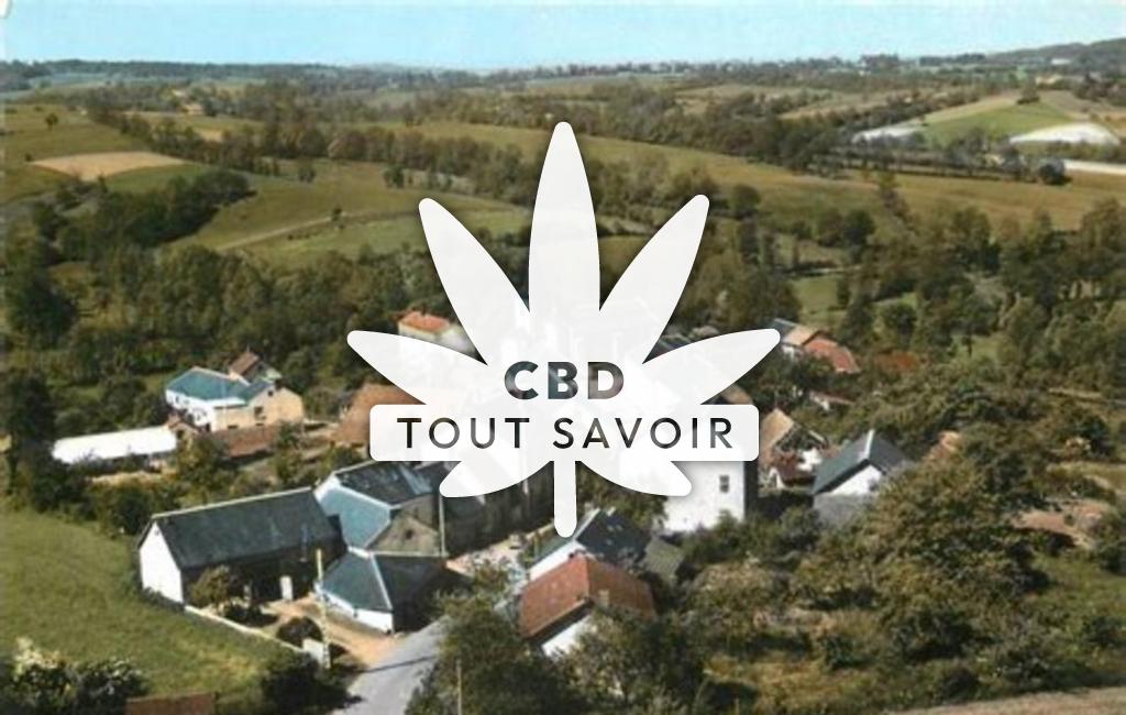 Village à Nizerolles avec feuille Cannabis CBD