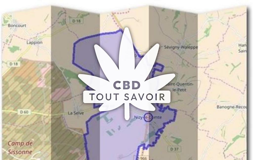 Village à Nizy-le-Comte avec feuille Cannabis CBD