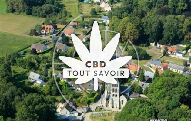 Village à Nouvion-le-Vineux avec feuille Cannabis CBD