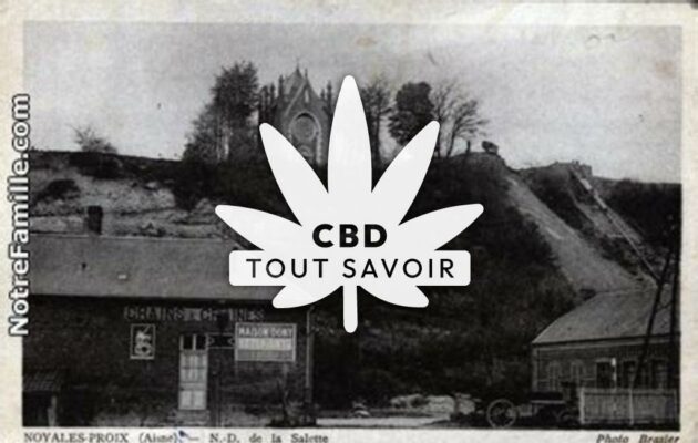 Village à Noyales avec feuille Cannabis CBD