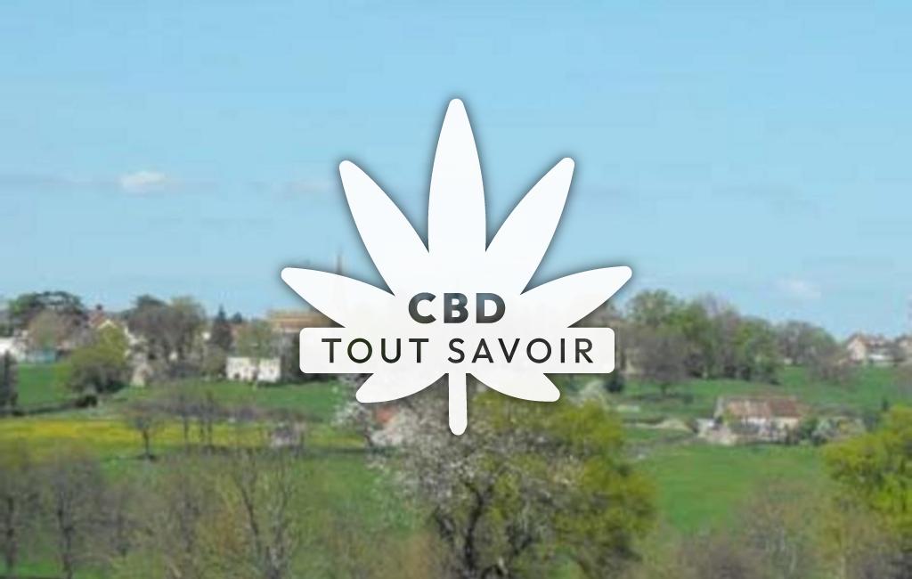 Village à Noyant-D'Allier avec feuille Cannabis CBD