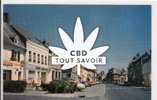 Village à Origny-Sainte-Benoite avec feuille Cannabis CBD