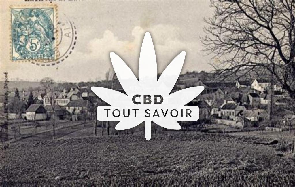 Village à Oulches-la-Vallee-Foulon avec feuille Cannabis CBD