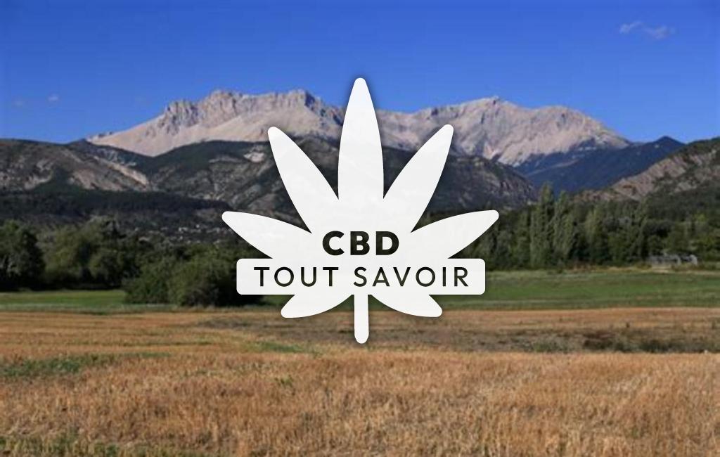 Village à Oze avec feuille Cannabis CBD