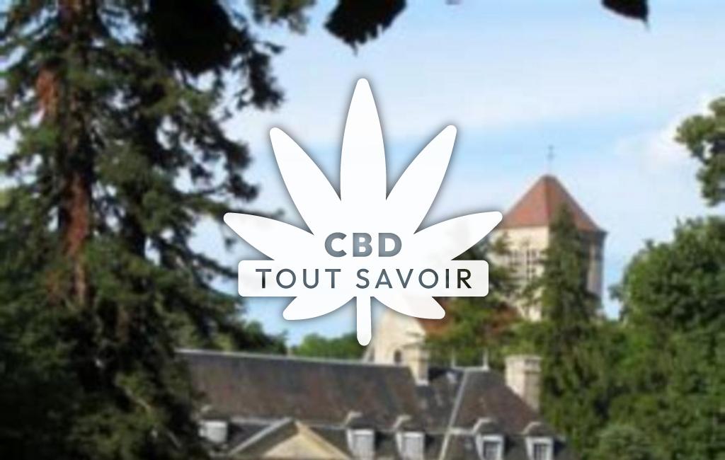 Village à Paars avec feuille Cannabis CBD