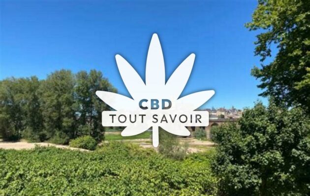 Village à Paray-sous-Briailles avec feuille Cannabis CBD