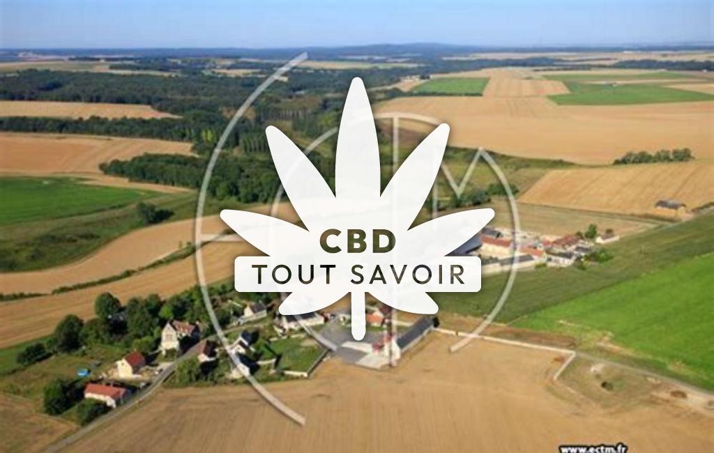 Village à Parcy-Et-Tigny avec feuille Cannabis CBD