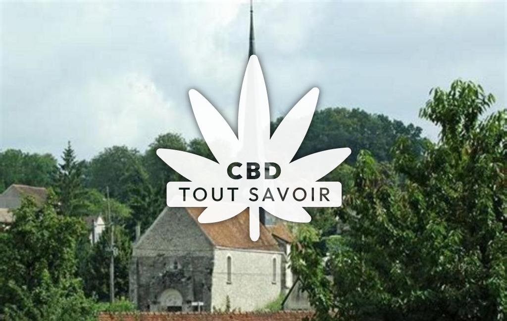 Village à Pargny-la-Dhuys avec feuille Cannabis CBD