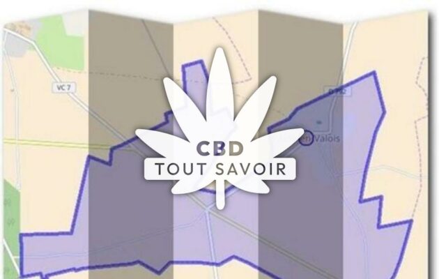 Village à Passy-en-Valois avec feuille Cannabis CBD